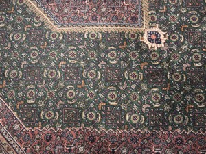 Green Floral Tribal 9X12 Indo-Bidjar Oriental Rug