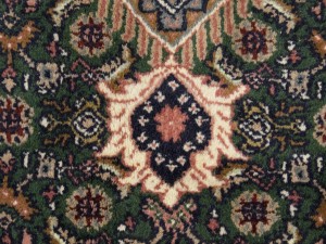 Green Floral Tribal 9X12 Indo-Bidjar Oriental Rug