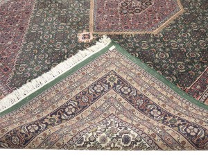 Green Floral Tribal 9X12 Indo-Bidjar Oriental Rug