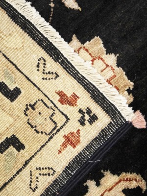 Black Floral Peshawar 9X12 Pakistan Oriental Rug