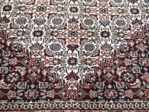 Cream Floral Tribal 6X9'5 Indo-Bidjar Oriental Rug