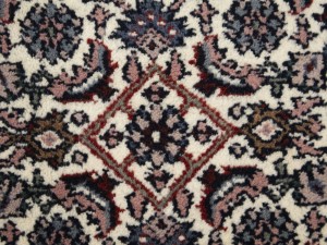 Cream Floral Tribal 6X9'5 Indo-Bidjar Oriental Rug