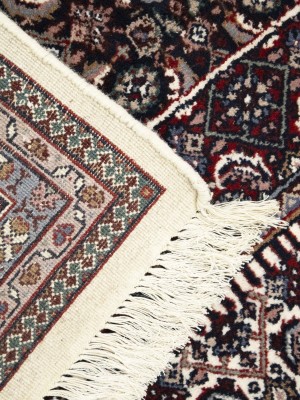 Cream Floral Tribal 6X9'5 Indo-Bidjar Oriental Rug