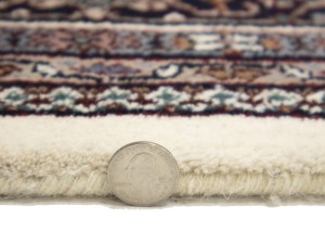 Cream Floral Tribal 6X9'5 Indo-Bidjar Oriental Rug