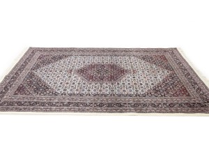 Cream Floral Tribal 6X9'5 Indo-Bidjar Oriental Rug