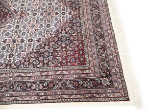 Cream Floral Tribal 6X9'5 Indo-Bidjar Oriental Rug