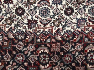 Cream Floral Tribal 6X9'5 Indo-Bidjar Oriental Rug
