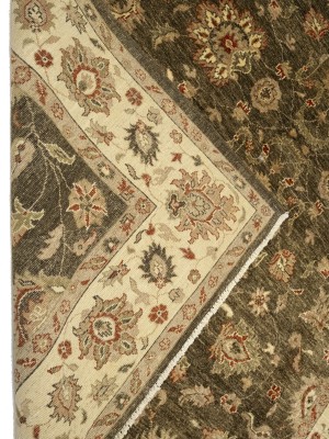 Brown Floral Peshawar 6X9 Pakistan Oriental Rug