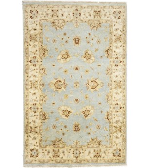 Light Blue Floral 4X6 Peshawar Pakistan Oriental Rug