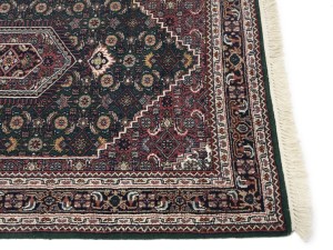 Green Floral Tribal 4X6 Indo-Bidjar Oriental Rug