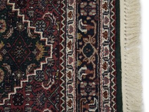 Green Floral Tribal 4X6 Indo-Bidjar Oriental Rug