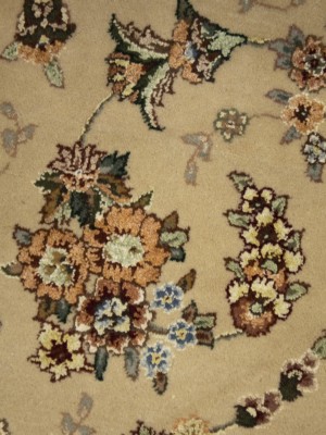 Cream Floral Chinese Style 4X6 Modern Oriental Rug
