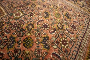Rusty Peach Vintage Floral 4X6 Bidjar Persian Oriental Rug
