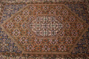 Vintage Floral Rust Orange 3'8X5'6 Bidjar Persian Rug