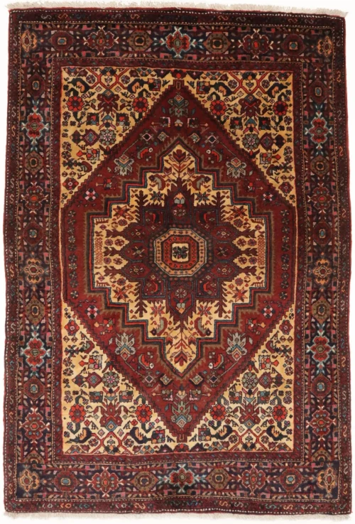 Vintage Rusty Red Geometric 3X5 Bidjar Persian Rug