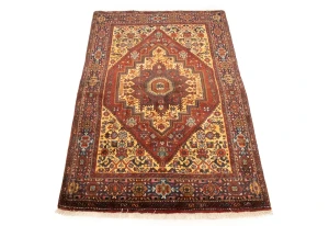 Vintage Rusty Red Geometric 3X5 Bidjar Persian Rug
