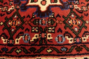 Bittersweet Red Floral 3X5 Hamedan Persian Rug