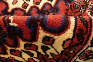 Bittersweet Red Floral 3X5 Hamedan Persian Rug