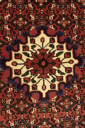 Bittersweet Red Floral 3X5 Hamedan Persian Rug