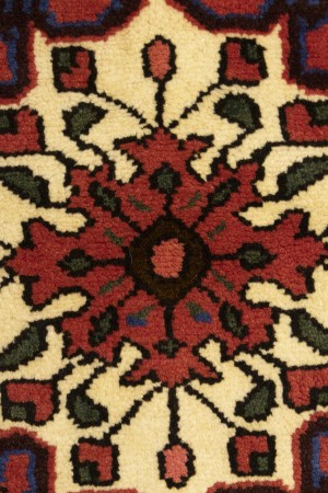 Bittersweet Red Floral 3X5 Hamedan Persian Rug