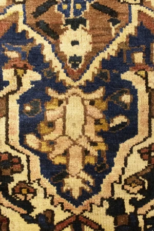 Antique Rust Tribal 10X13 Bakhtiari Persian Rug