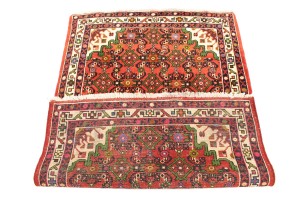 Bittersweet Red Floral 3X5 Hamedan Persian Rug