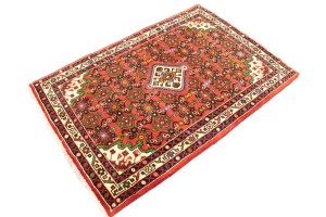 Bittersweet Red Floral 3X5 Hamedan Persian Rug