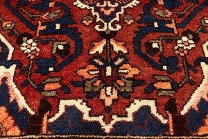 Vintage Red Floral 10X12 Bakhtiari Persian Rug