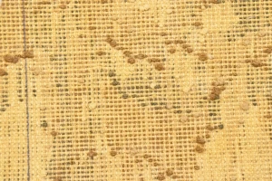 Multicolored Floral 6X9 Modern Machine-Made Rug