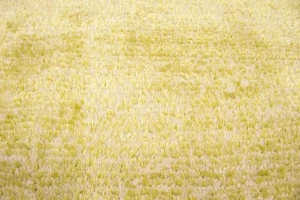 Solid Modern Design 5X8 Machine-Made Rug