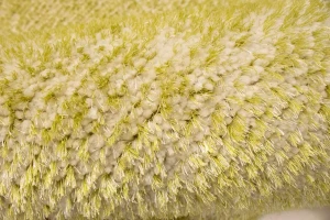 Solid Modern Design 5X8 Machine-Made Rug