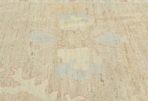 Pastel Brown Floral Oushak Peshawar 10X13 Pakistan Oriental Rug