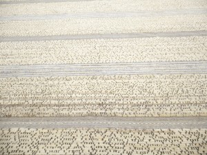 Multicolored Tribal Modern 13X19 Moroccan Style Oriental Rug