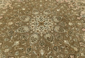 Light Peach Semi Antique Classic Floral 10X13 Vintage Oriental Rug