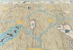 Muted Pastel Brown Floral 10X14 Transitional Oushak Oriental Rug