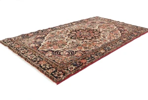 Cream Floral Tribal 5'0X8'5 Hamedan Persian Rug