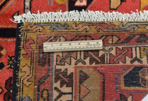 Vintage Coral Red Pictorial Tribal 5'0X10'5 Heriz Persian Runner Rug