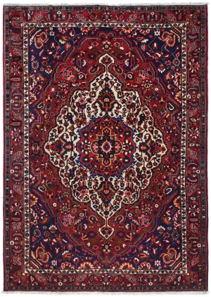 Vintage Red Floral 9X12 Bakhtiari Persian Oriental Rug