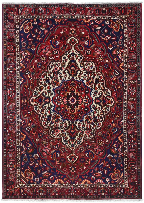 Vintage Red Floral 9X12 Bakhtiari Persian Oriental Rug