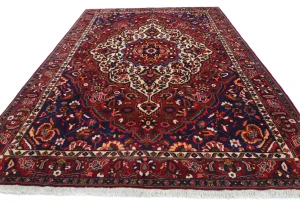 Vintage Red Floral 9X12 Bakhtiari Persian Oriental Rug