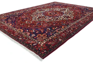 Vintage Red Floral 9X12 Bakhtiari Persian Oriental Rug