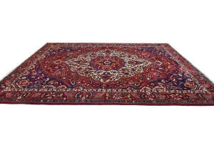 Vintage Red Floral 9X12 Bakhtiari Persian Oriental Rug