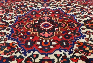 Vintage Red Floral 9X12 Bakhtiari Persian Oriental Rug