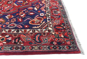 Vintage Red Floral 9X12 Bakhtiari Persian Oriental Rug