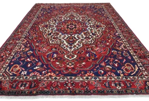 Vintage Red Floral 9X12 Bakhtiari Persian Oriental Rug