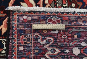 Vintage Red Floral 10X12 Bakhtiari Persian Rug