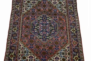 Floral Bittersweet Red 3X4 Bidjar Persian Rug