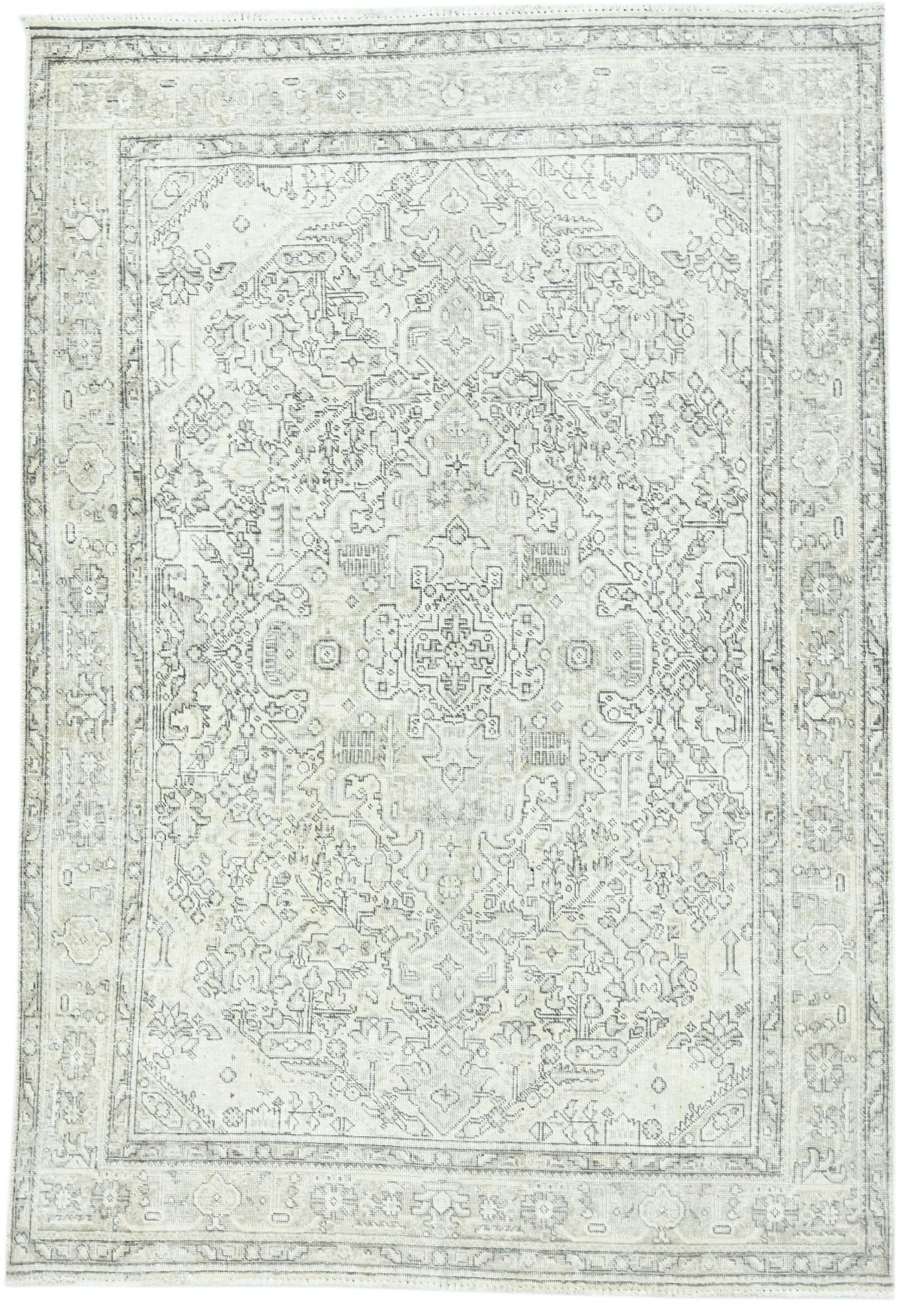 Traditional 6'3 X 9'1 Oriental Area Rug