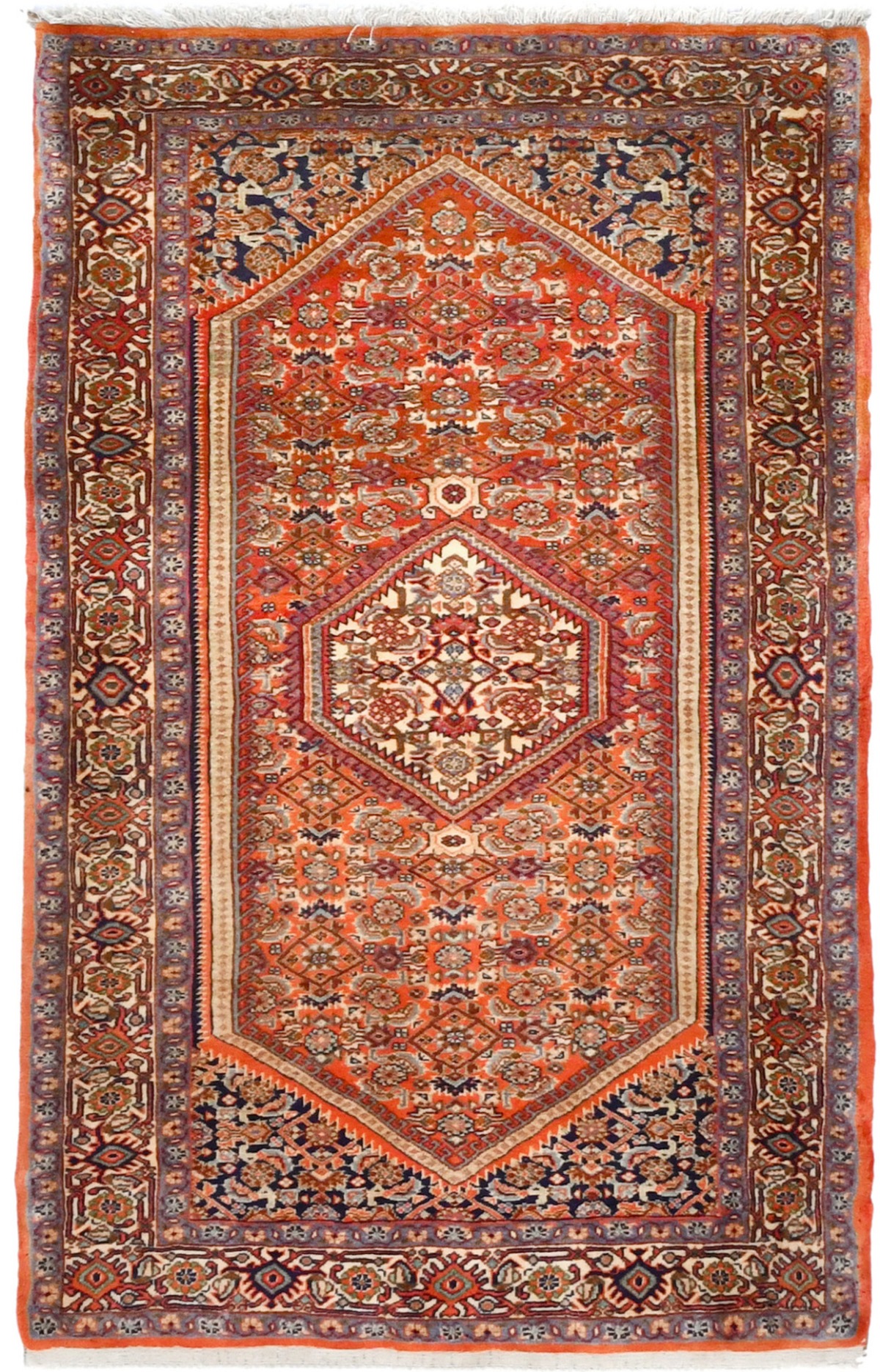 Vintage Floral Geometric 3X5 Bidjar Persian Rug