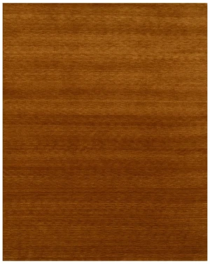 Orange Modern Solid 8X10 Gabbeh Oriental Rug